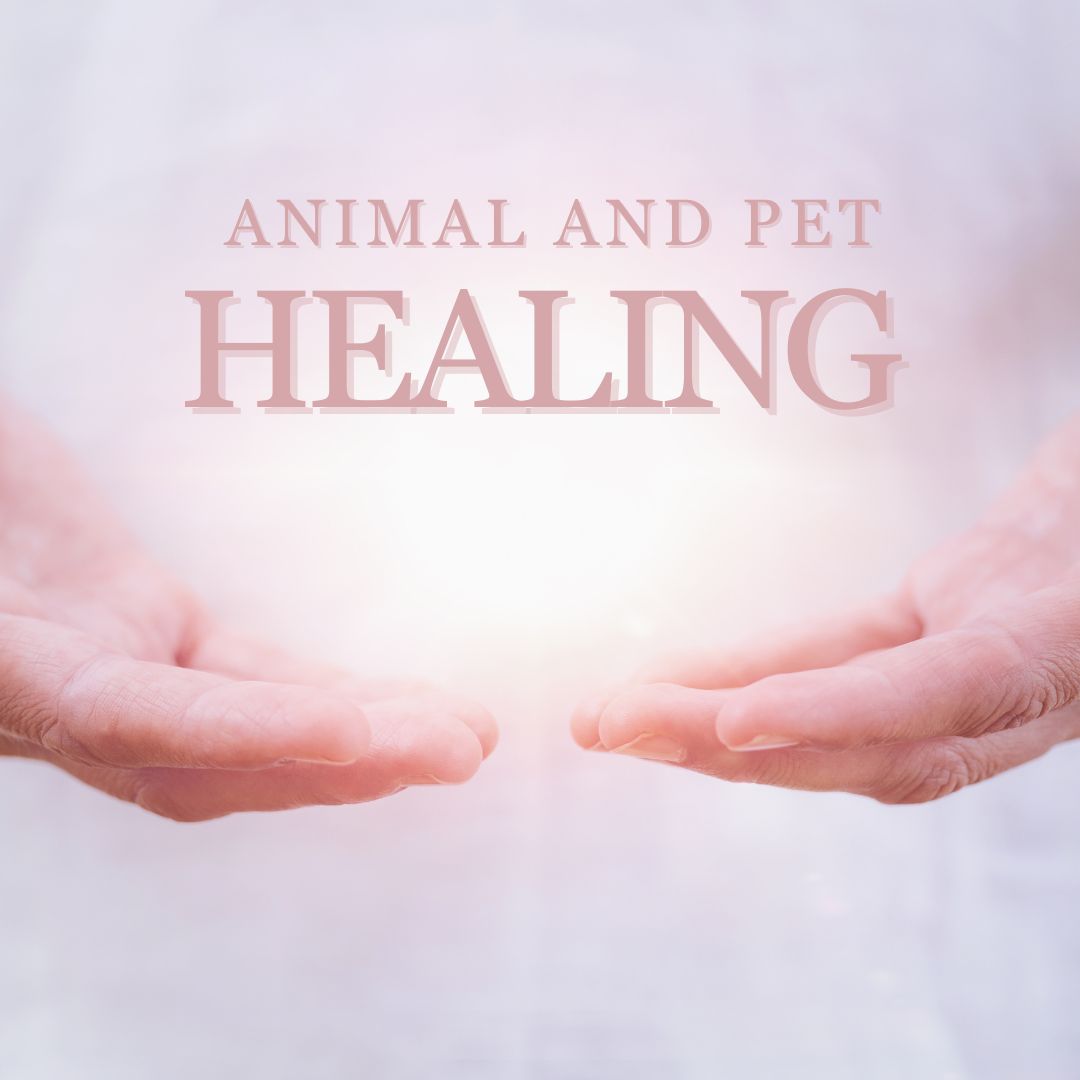 Animal and Pet Healing Highlands